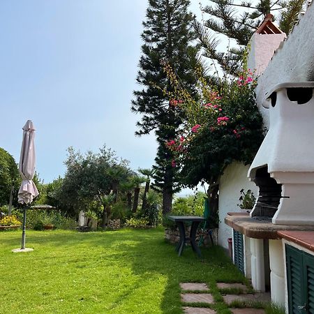 Il Giardino Su Capo Caccia Βίλα Αλγκέρο Εξωτερικό φωτογραφία
