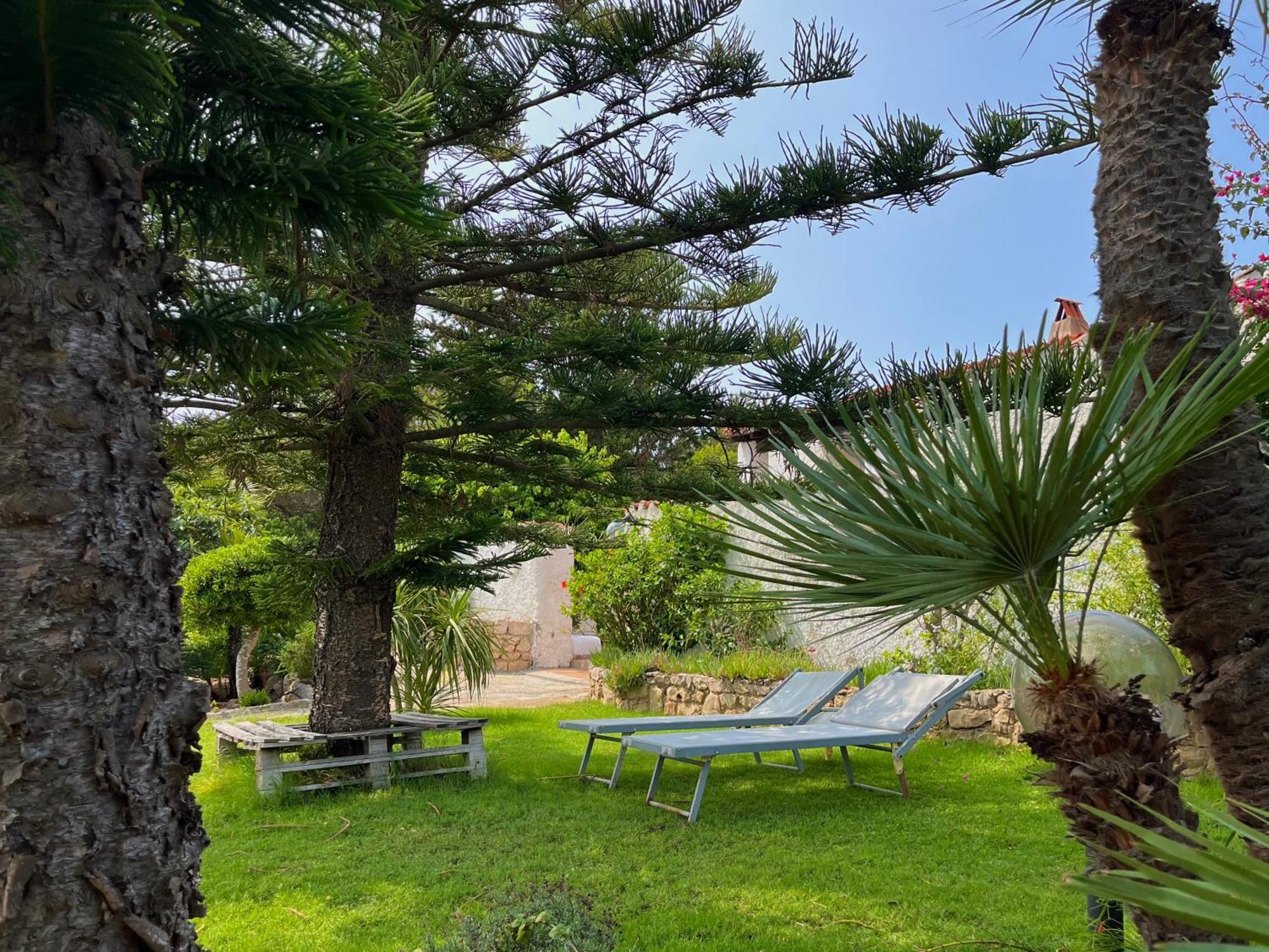 Il Giardino Su Capo Caccia Βίλα Αλγκέρο Εξωτερικό φωτογραφία